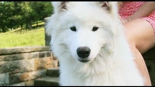 Kellee Maize - La La Love