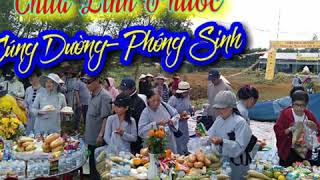 preview picture of video 'Chùa Linh Phước'