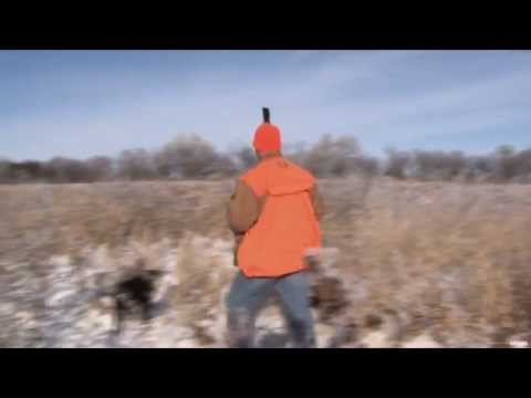 Pheasants Forever : Wingshooter Wii