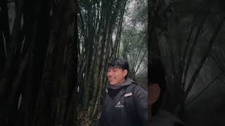 Download lagu Part 2 | Terror of the Kuntilanak Bamboo Forest #ghost #horror #kuntilanak #mystery #mystical #ap... mp3