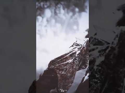 679 👑 ZH solo dance (MaRia) #左航ZH[超话]