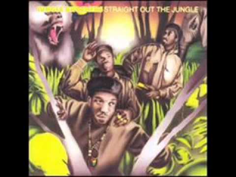 Jungle Brothers - On The Run