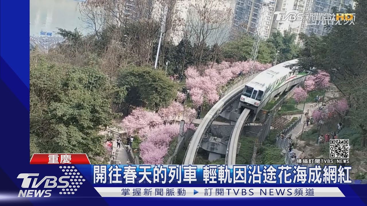 陸無人機撞列車 為拍花海「越軌」險釀禍