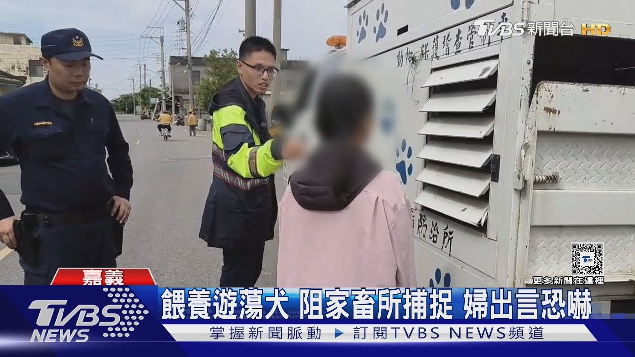 餵養遊蕩犬阻家畜所捕捉　婦出言恐嚇
