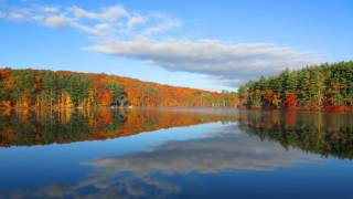 Fullness Of Wind (Variation On 'Canon In D Major') [Brian Eno]