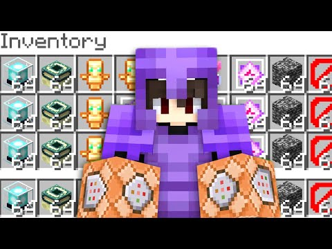 Sajal Plays - How I Got CREATIVE MODE In This Minecraft SMP...