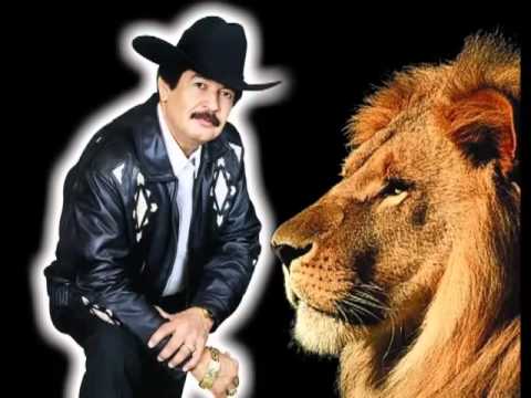 beto quintanilla - piquete de ojos