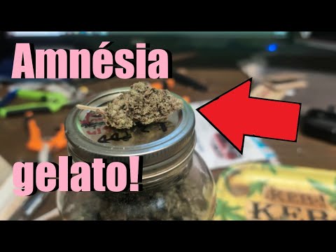A new grow!! Result: Amnesia Gelato from Magicseeds under the FCE4800 from Marshydro!