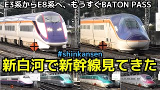 【新白河の320km/h高速通過】E3系からE8系へ、もうすぐBATON PASS　新白河で新幹線見てきた！！（一部速度付き）  #shinkansen　#shin_shirakawa