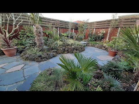 Our Tropical Garden, after the first 20 °C of this year