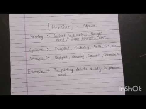 Word of the day - Pensive