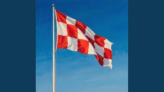 Checkered Flag Pole