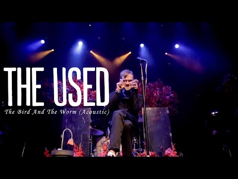 Video thumbnail for The Bird and the Worm (Live)