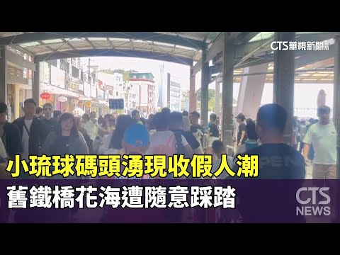 小琉球碼頭湧現收假人潮　舊鐵橋花海遭隨意踩踏