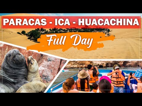 🟣 Paracas Ica Huacachina Full Day 🟣 Ballestas Islands Peru Huacachina Peru