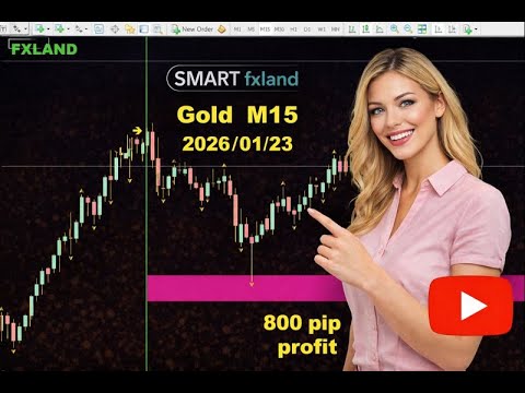 Video Fxland Price Reversal Zones