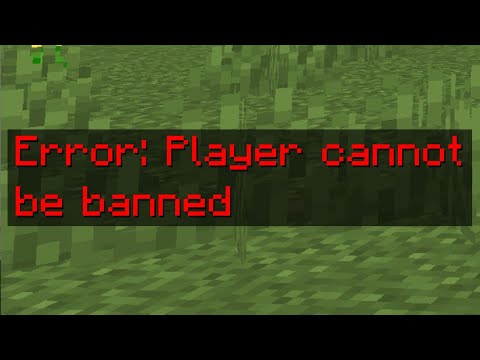 These Minecraft accounts couldn't be banned...