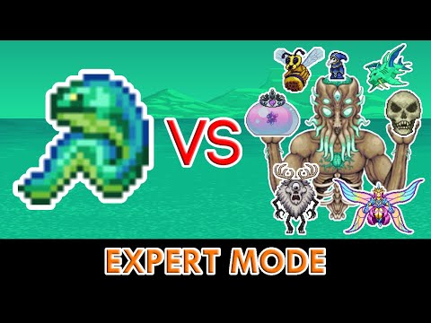 Terraria 1.4.5 - Electric Eel vs ALL Bosses (Expert Mode)