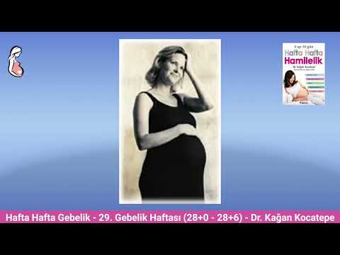 Gebelikte 29. hafta (28+0 28+6) belirtileri. Anne adayı ve bebekte değişiklikler, emzirme hazırlığı