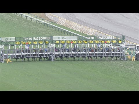 2020 Copa Republica Argentina (G2)