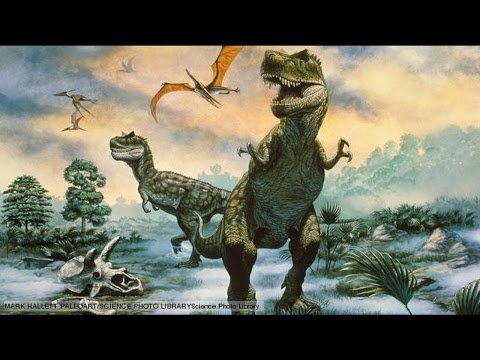 ASMR Lets Learn About Prehistoric Life!