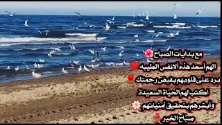 اللهم صلي على محمد وآل محمد 🌸اسعد الله صباحكم بذكر الله ولطفه التي تملأ يومك بلسعاده 🌸