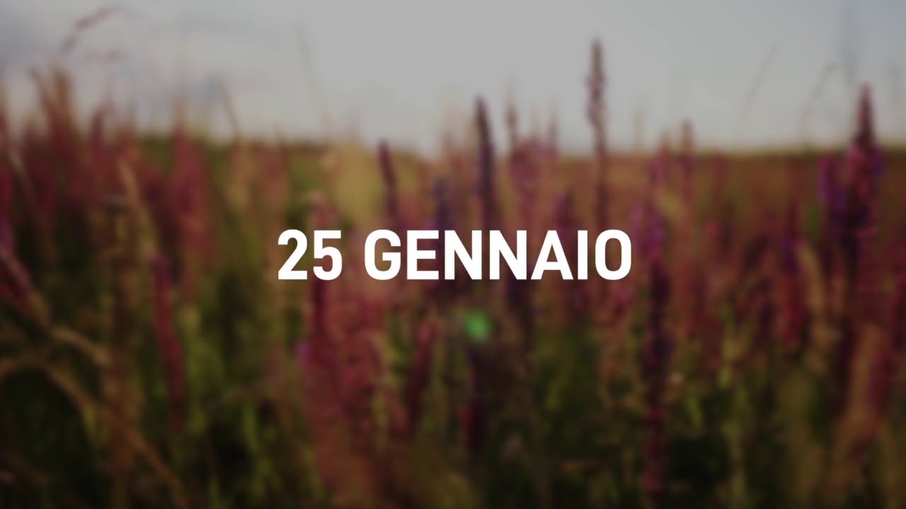 25 Gennaio 2025 | Meditazione Parole di Vita