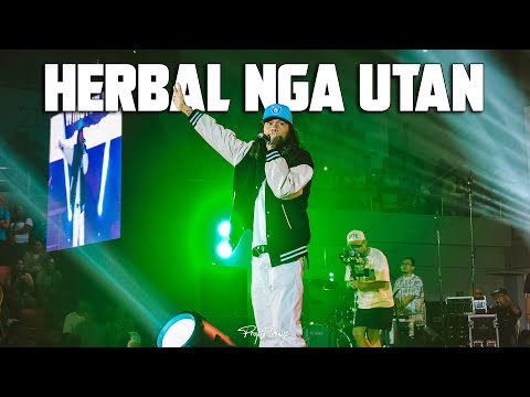 HERBAL NGA UTAN  - QUEEN LOUISE FT. WINSTON LEE LIVE @ HOOPS DOME, LAPU-LAPU CITY