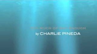 TOO MUCH OF NOT ENOUGH by CHARLIE PINEDA
