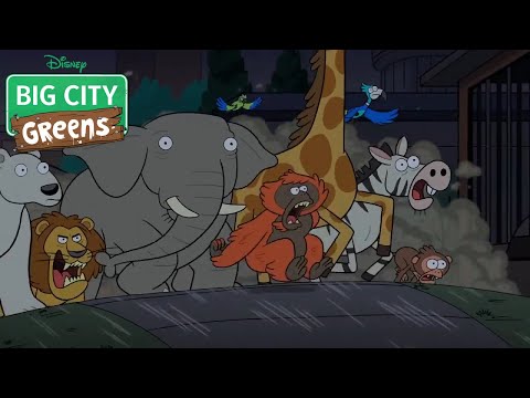 The Zoo Animals Escape (Clip) / Uncaged / Big City Greens