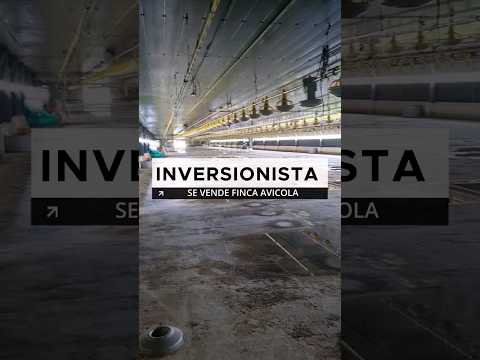 Fincas y Casas Campestres, Venta, Santander de Quilichao - $4.500.000.000