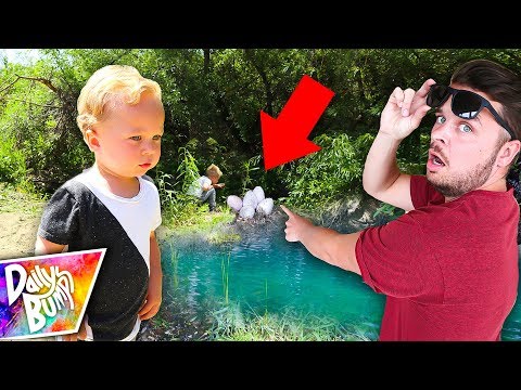 Monster In Our Pond!?! (EGGS FOUND) Video