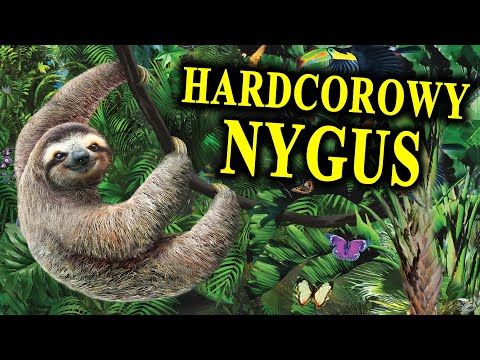 SLOTH 🦥 Alien from Another Time and Space