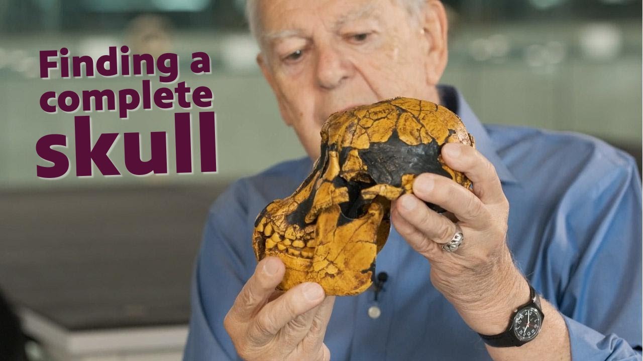 Did the Lucy skeleton include a skull?