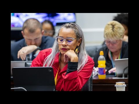 EFF DSG, Leigh-Ann Mathys' Kreuzverhör des stellvertretenden Polizeiministers Cassel Mathale