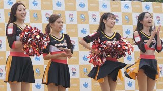 強風にも負けずおすすめグッズ紹介をこなすチアグランパス