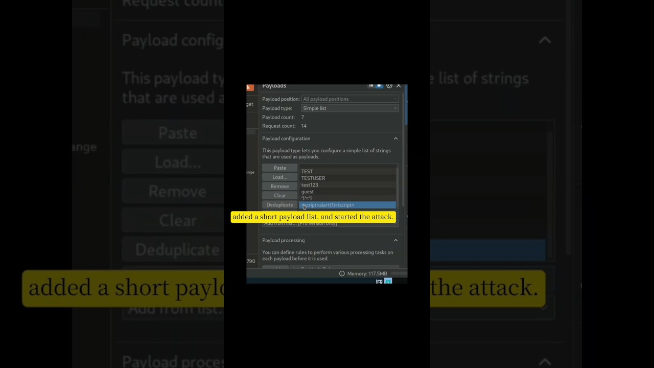 Day 17 — Burp Intruder Basics: Send Payloads & Spot Differences (Lab)