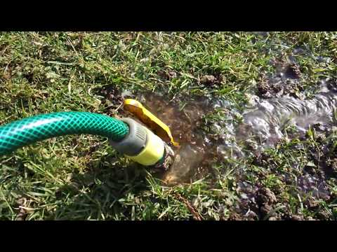 Kret w ogrodzie prosty  sposób na kreta i nornice