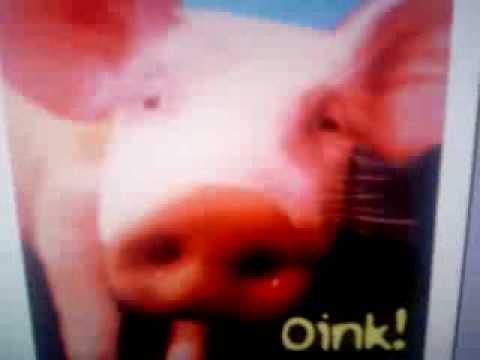 SWINE FLU SONG