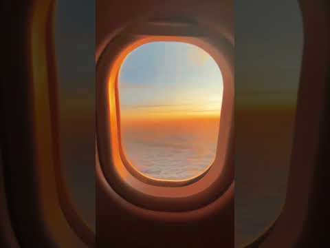 On the air #airplane #shorts #views #sunset #golden