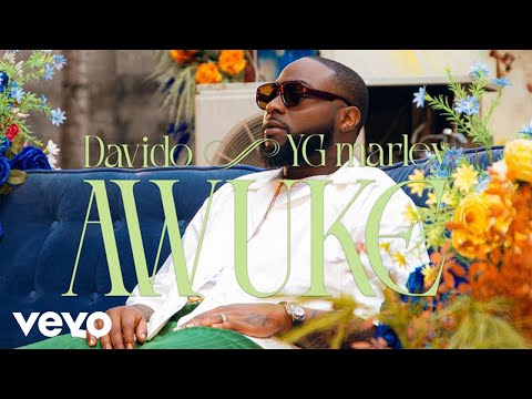 Davido - Awuke (w/ YG Marley) on Spotify Charts