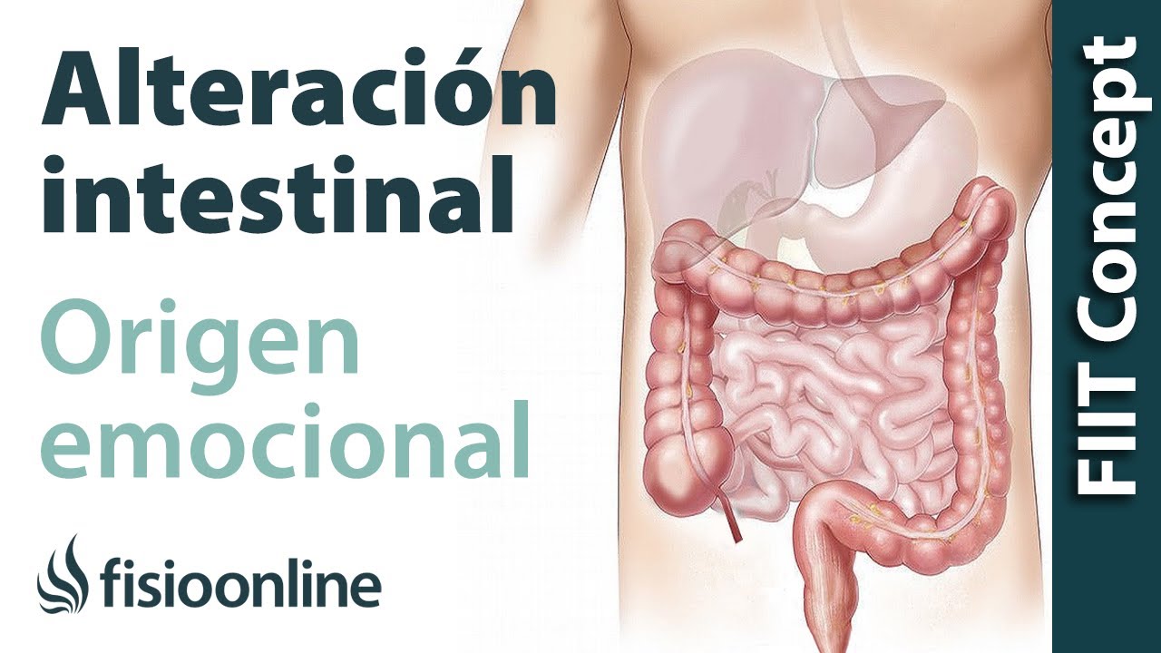 Watch Origen emocional de la disfunción de intestino delgado. Now Origen emocional de la disfunción de intestino delgado.
