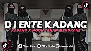 Download lagu DJ ENTE KADANG KADANG X HOOH TENAN MENGKANE VIRAL TIKTOK mp3 Download lagu DJ ENTE KADANG KADANG X HOOH TENAN MENGKANE VIRAL TIKTOK mp3