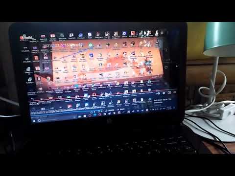 "Animal Age 3: Dawn of the Creatures" Parte 10 - Chasm of Death