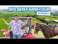 MY FAMILY FARM TOUR | Robi Domingo