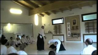 preview picture of video 'Aikido-Fiordineve Cozzi 6° Dan - M°Michele Quaranta 6° dan- Lauria 2012 - Internazionale'