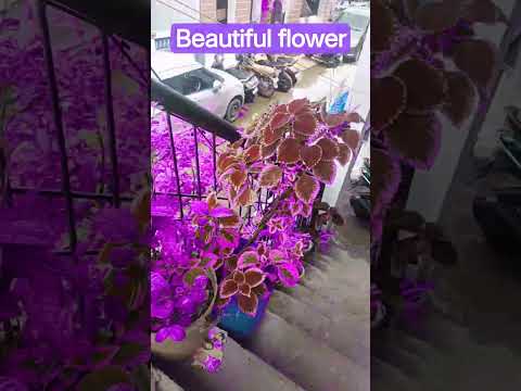 💜💜💜💜💜💜💜💜