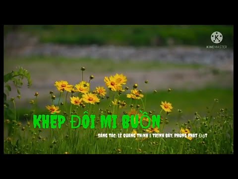 Khép đôi mi buồn - Phùng Phát Đạt