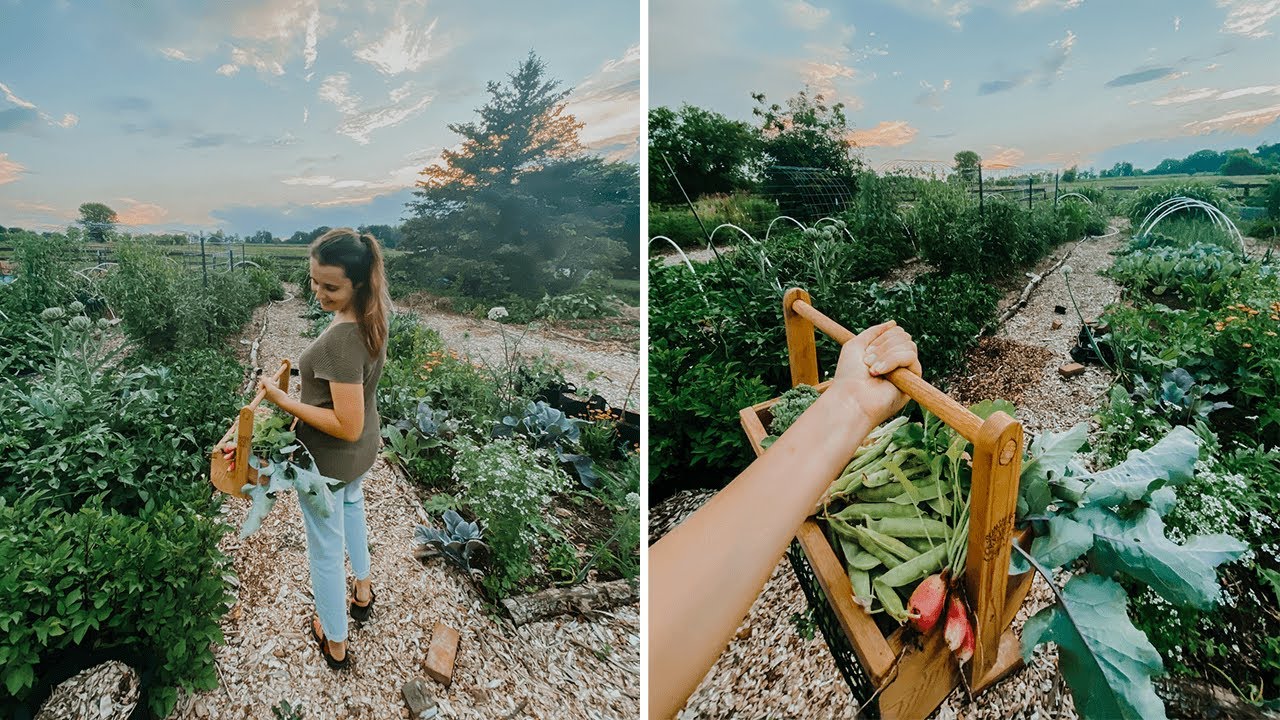 A June Garden Tour I Never Shared...