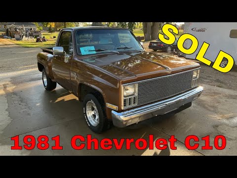 1981 Chevrolet Pickup (CC-1661780) for sale in Brookings, South Dakota